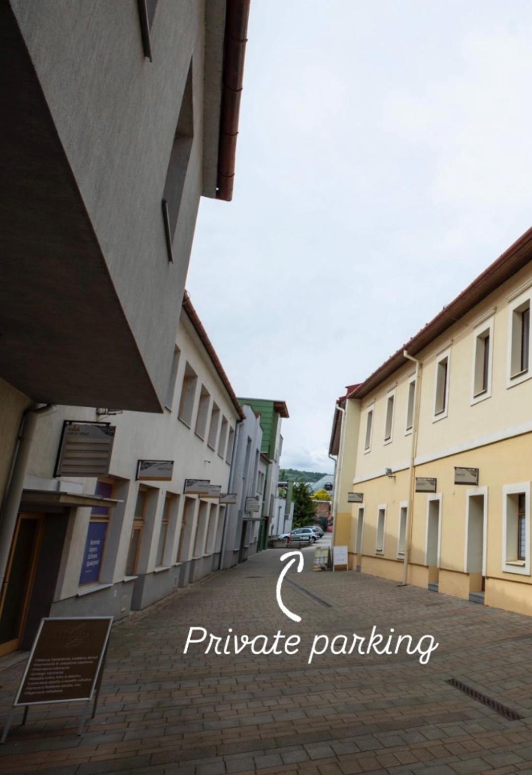 Alure Residences 10 - 24H Self Check-In & Private Parking Next To The Apartment Building Included, City Center Right On Snp Square In A Quiet Passage, New Building, Best Deal In Town Банська Бистриця Екстер'єр фото